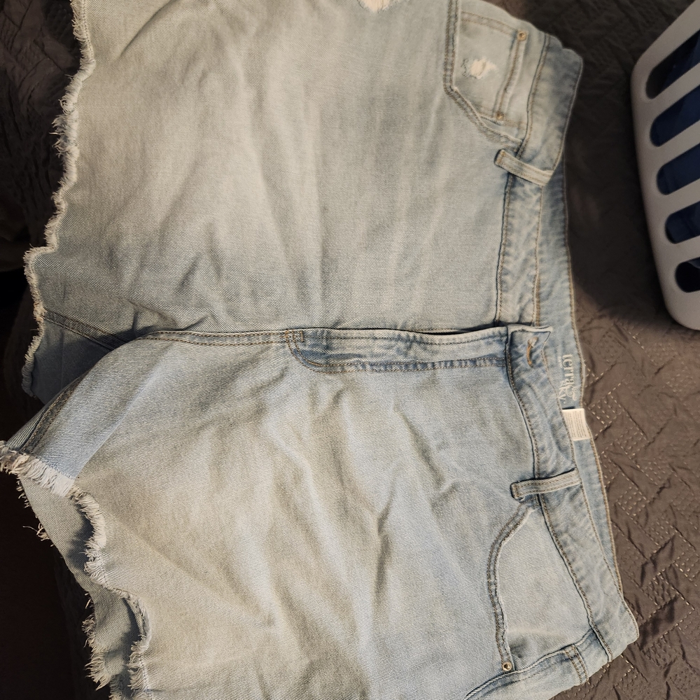 Terra & Sky Light Blue Distressed Denim Cutoff Shorts